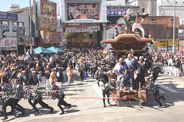 写真:岸和田の伝統的なお祭り「岸和田 だんじり祭り」の様子
